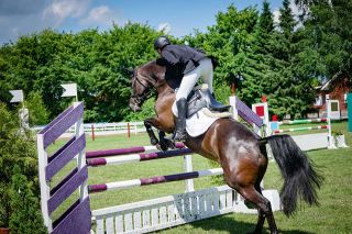 Foto: Springreiten
