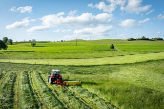 Foto: Feld mit Traktor